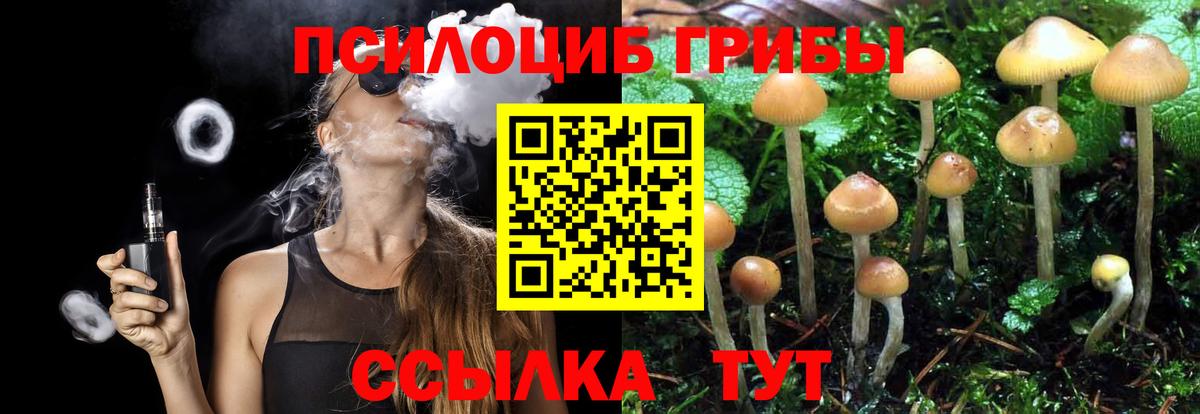 Псилоцибиновые грибы ЛСД  Вход с VPN  Псилоцибиновые грибы Psilocybe  цена   Каменск-Шахтинский 